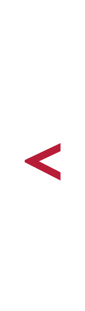 Logo vertically