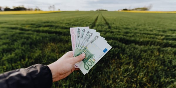 Koszt hali namiotowej na słomę